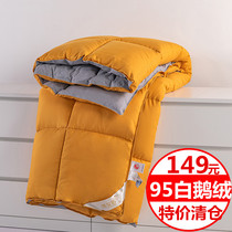 Five-star hotel duvet quilted by 95 white goose down quilt thickened with warm winter quilted by a double spring autumn quilt core