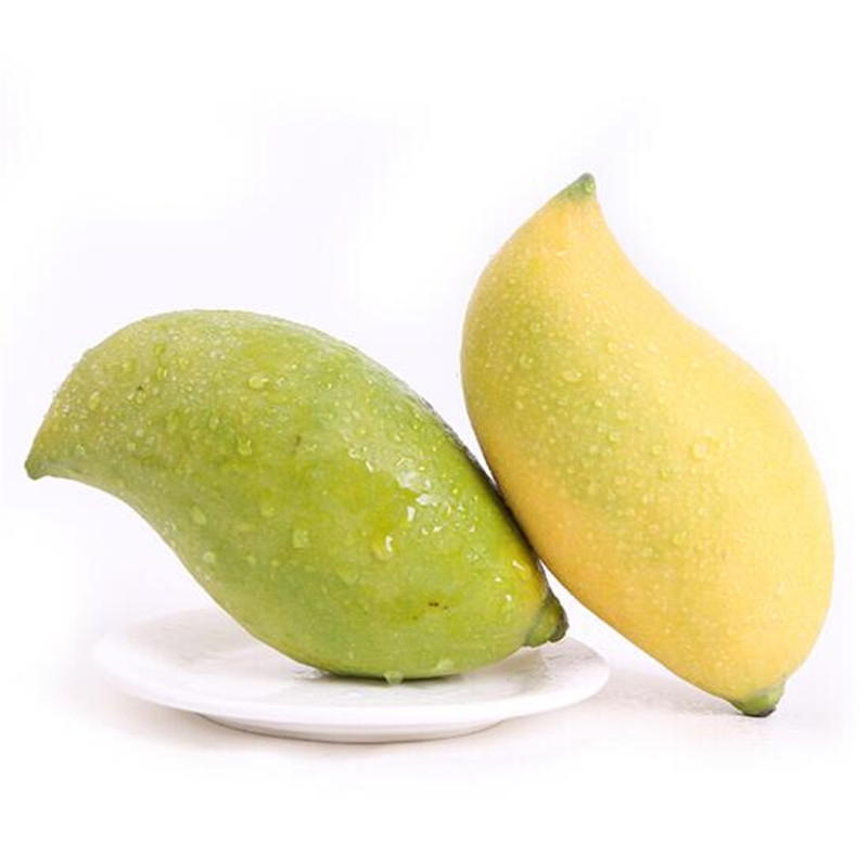 小六美鲜 云南鹰嘴芒果 9斤