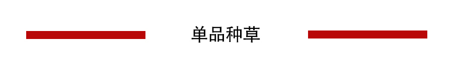 基础款普通？乘务长袁泉教你穿出超模范儿3