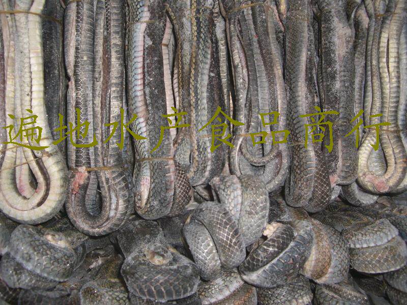 刺身 象拔蚌片 深海海鲜 生鱼片 寿司 日本料理(遍地水产) 福建