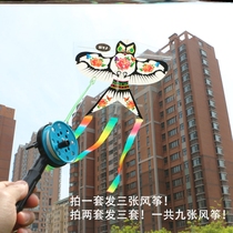 Kite 2022 new aerobatic kite new type of online red night light adult breeze Yi Feifang exploits hand in hand