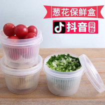 Small Nice Shallot Ginger Garlic Preservation Box Shallot Flower Containing Box Fridge Special Drain Basket Kitchen Food Grade Food Food Box