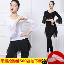New dance rhyme yoga clothes flowing fairy air performance dance practice clothes female classical dance modern dance form suit