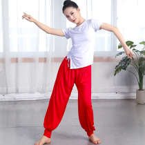 2021 new yoga suit female modal short sleeve top shape classical modern folk dance practice suit