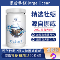 Norwegian Borg oyster powder bjorge ocean deep-sea zinc nourishing kidney tonic oyster essence male health capsules