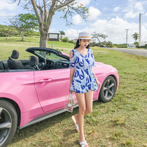 Swimsuit womens one-piece skirt conservative flat angle cover belly small chest gathered thin Korean hot spring small fresh fairy fan