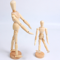 Wooden joint dolls puppet toys childrens cognitive mannequins kindergarten display teaching aids hand play play with childrens cognitive mannequins kindergarten display teaching aids hand play