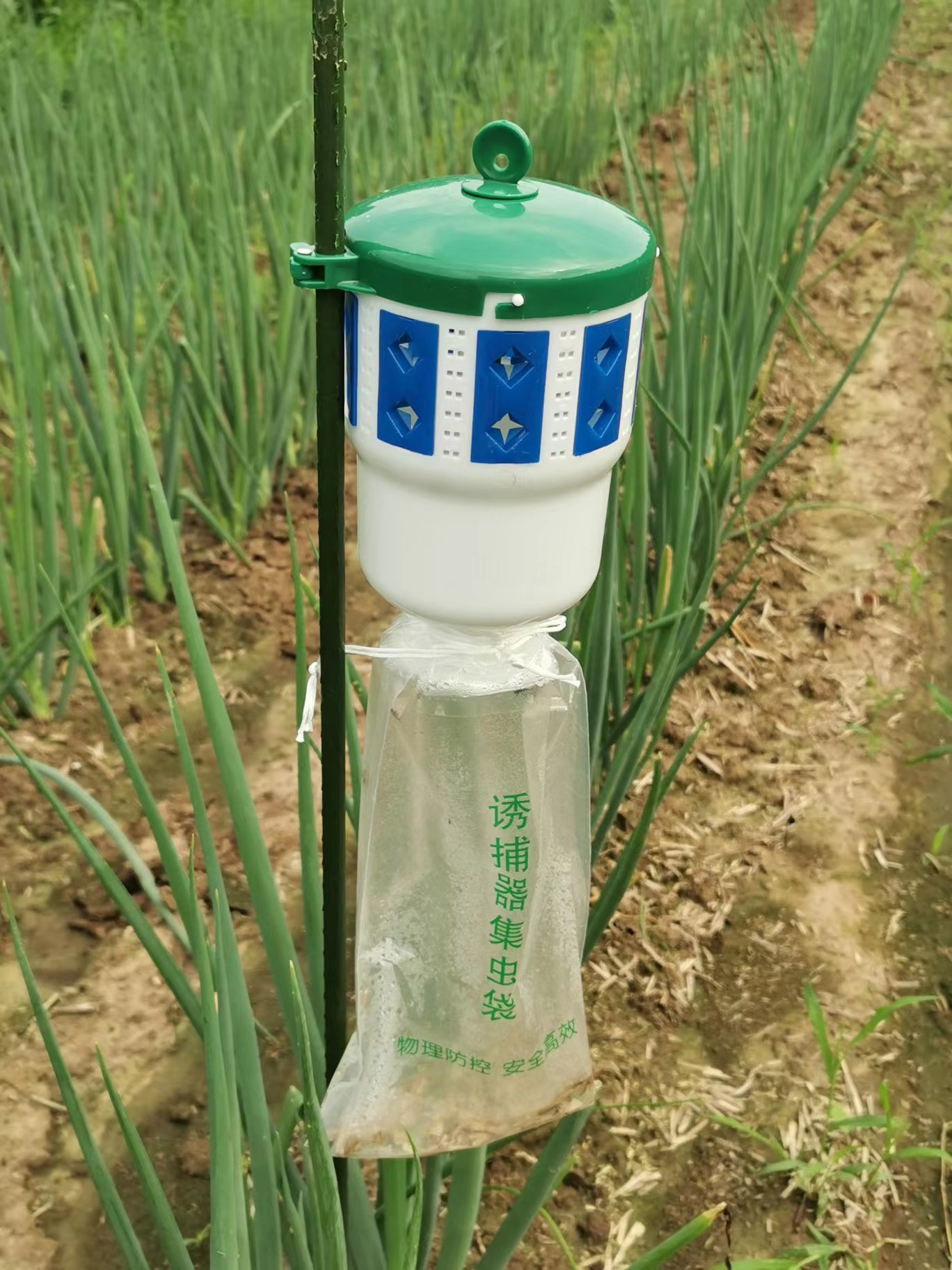 斜纹夜蛾诱捕器甜菜夜蛾诱捕剂夜蛾类昆虫信息素引诱剂诱捕器