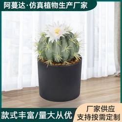 Tropical simulation plant potted cactus manufacturer Nordic plant landscaping ornaments fake green plants decoration desert green plants