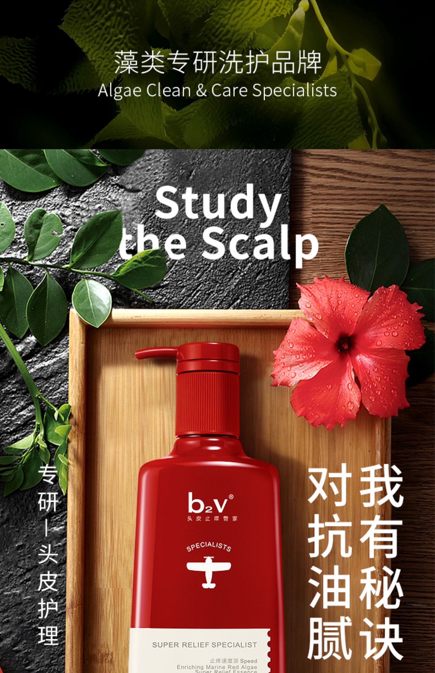 b2v洗发水图片高清图片