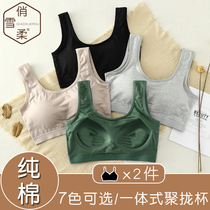 Bandeau sports underwear College students junior high school girls wear pure cotton camisole belt chest pad one piece bra