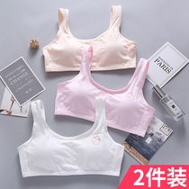 Developmental small vest Junior high school and high school students 12-16 years old underwear female no rim pure cotton thin girl bra