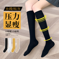 Mak Shilu pressure thin leg calf socks female JK socks mid-tube over-the-knee half-length summer thin black stockings