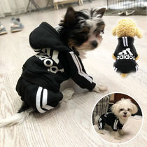Pooch clothes spring autumn money grabbing suede veggie fighting teddy kitty winter pet warm clothing four-legged coat