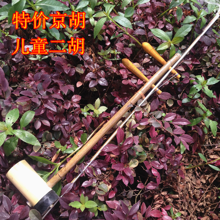 包邮特价初学者京胡乐器儿童胡小二胡送备用弦配件简意说明书松香