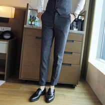 Suit pants mens elastic slim-fit business mens pants autumn youth small feet pants mens Korean striped suit pants thin