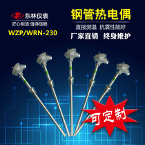 WZP-230 WRN-231 PT100 platinum thermal resistance K temperature sensor fixed thread thermocouple temperature measurement