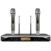 Lion Music SH-11 Wireless U Segment Holds a Drag Two Conference Stage Performance Home Microphone KTV Special