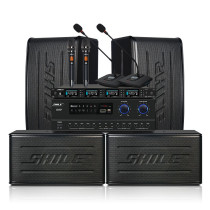 Lion Music SHILE AV108 BX116 BX116 SH27 SH27 Amplifier Speaker Suit Professional Conference Room Background Music Acoustics