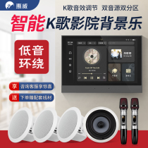 Hivi Whewway HS505A Super Horner Set Home Smart Home Background Music Horn System