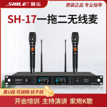 Lion Music SH-17 One Drag Two Wireless U Segment Microphone Mike Real Ktv Professional Stage Performance Home K Song Conference