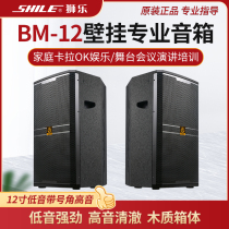Lion Music BM-12 Professional Stage Conference Sound KTV Package Room outdoor activities Performance 12-inch speakers