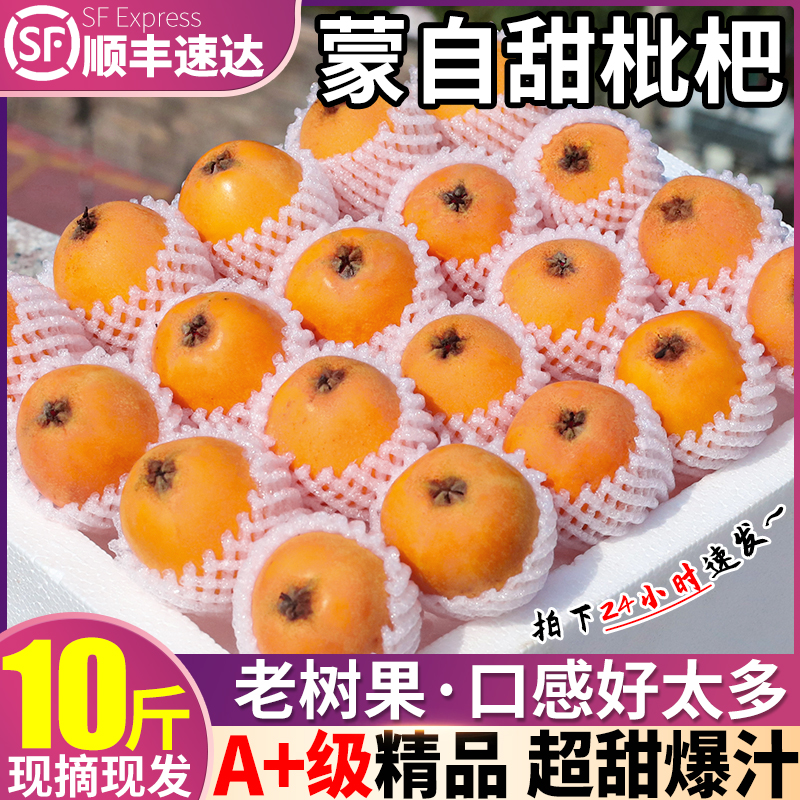 Shun Feng 5 kg Yunnan Monte loquats fresh fruits When the season fruit pregnant woman Changhong Pipa Biwa to take the fruit whole box-Taobao
