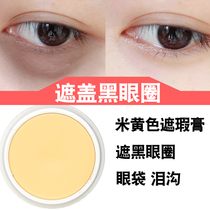 Beige Foundation Concealer Covered Dark Circid Bag Panda Eye Tear Groove T-Zone Bright Makeup Artist