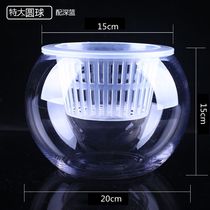 Living room hydroponic flower plant hydroponic flower pot Glass vase Transparent green dill large thickened round ball fish tank utensils