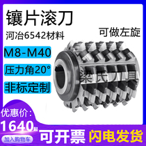 Insert gear hob m8 m12 m15 m18 m20 m25--m40 a20°A Heye 6542