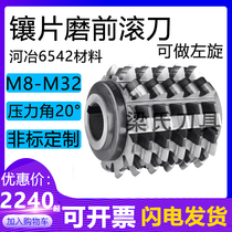 Insert grinding front gear hob m10 m12 m15 m18 m20 --m32a20°A Heye 6542