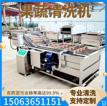 Automatic clean vegetable processing line taro potato pepper continuous cleaning machine commercial central kitchen equipment