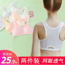Girls' underwear grows in small vests Children's pure cotton wearing 13 elementary school students 9-10-12-15 years old
