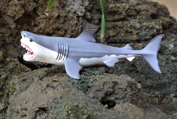 鱼缸装饰 美国safari正品远古海洋生物 巨齿鲨模型 摆件 玩具包邮