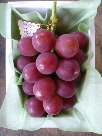 这些"土豪"水果,你知道多少?