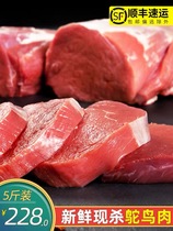 (Gather family members)Farm free-range ostrich meat fresh freshly killed leg meat fascia removal pure fine meat hotel ingredients 5 kg