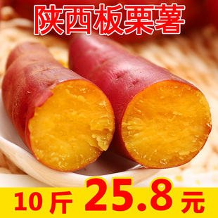 shaanxi sweet potato fresh 10 pounds chestnut sweet potato yellow heart sweet heart sweet potato sweet potato farmhouse small sweet potato season