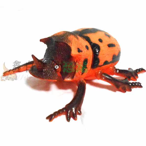 包邮 仿真 动物昆虫玩具模型 蝴蝶 独角仙 螳螂 蜻蜓12款昆虫模型