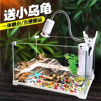 Open platform Home juvenile turtle money turtle feeding box Fish breeding turtle feeding tank Mixed tank fish tank stone