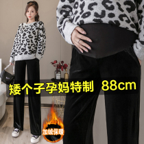 Small pregnant womens pants short pregnancy autumn and winter thickened gold velvet wide 150cm straight tube mopping 8 ankle-length pants