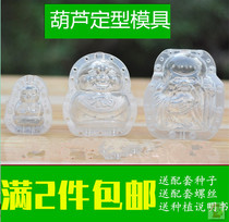Ginseng fruit mold Apple gourd cucumber shape Fuwa heart-shaped fruit vegetable growth shape gourd pear with characters