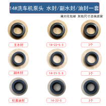 Black cat flying spur water seal 14 22 5 Ultra-high pressure washer car wash machine pump head plunger oil seal main and auxiliary water seal