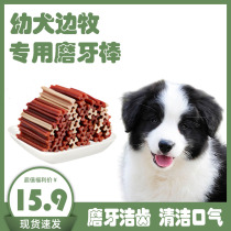 Side Shepherd Dogs Special 2 Two-Three Months Grinders Small Tippy Dogs With Snacks Dog To Clean Teeth During the Tooth Swap Period