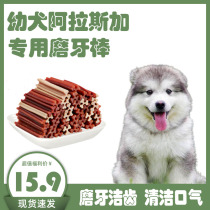 Alaska special grinders for two or three months young canine and bone small milk dog with clean teeth for tooth change period
