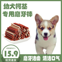 Kokie special grinders 2 two three months young dog small milky dog son dog with clean teeth for tooth change period cleaning tooth bone