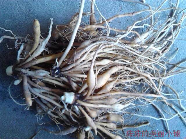 包邮农家现挖新鲜野生黄花菜根 金针根萱草根忘忧草 足称500g