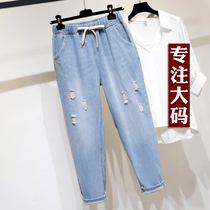 Summer size cave jeans fried street nine pants fat mm pine and loose waist 200 pounds radish pants