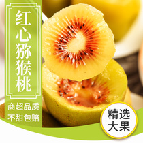 Pick Sichuan red heart kiwi fruit kiwi fruit seasonal fresh fruit big fruit fresh box sweet fruit