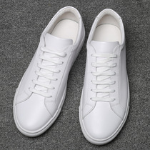 High-end Cardan Emma fashion brand Lushi factory direct sales new mens casual leather round-toe sneakers small white shoes for transportation