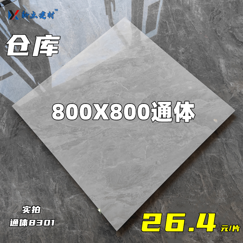 Changzhou New Point Building Material Negative Ion Flat Tile Living Room 800X 800 preferred products